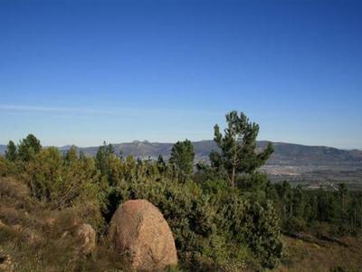 Farm For Sale in Dal Josafat, Paarl